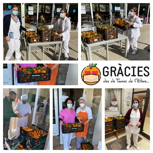 Entrega de les caixes de mandarines a diferents centres residencials.
