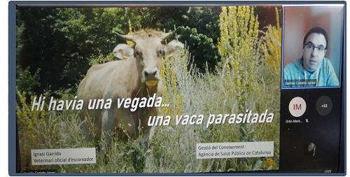 gestio del coneixement