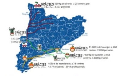 gracies-des-de