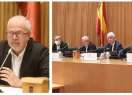 imatge de la cimera