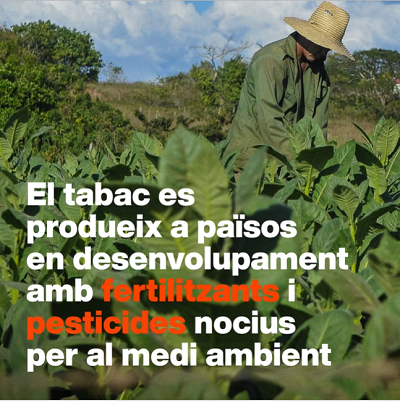 video DM sense tabac