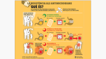 Què és la resistència als antimicrobians?