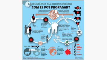 Com es pot propagar la resistència als antimicrobians?