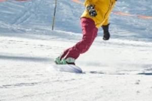 Seguretat Sports Neu
