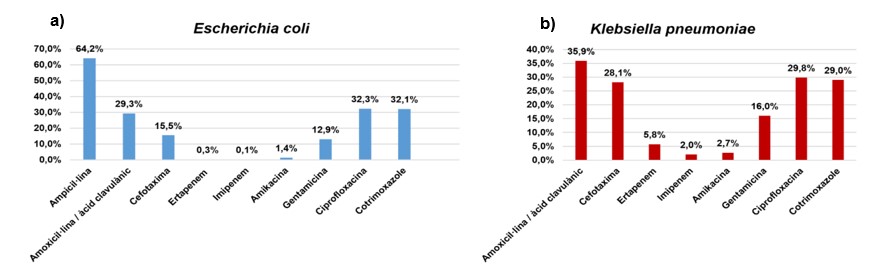 Percentatge de soques resistents respecte a Escherichia coli (a) i Klebsiella pneumoniae (b) segons l’antibiòtic analitzat. Catalunya, 2016-2022