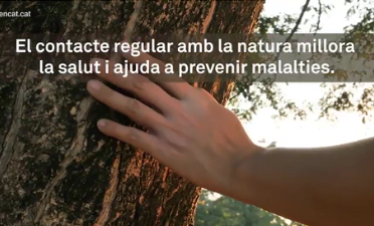 Imatge de promoció de les activitats als boscos, amb la sobreimpressió: 