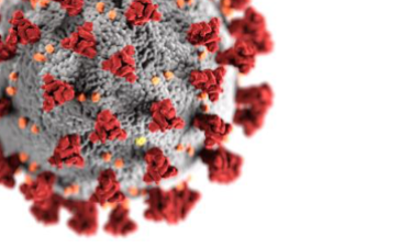 Il·lustració creada pel Centre de Control i Prevenció de Malalties dels Estats Units (CDC), que mostra la morfologia dels coronavirus.