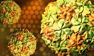 219-poliovirus-aigua