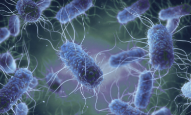  Imatge cedida per biomerieux