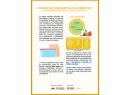Portada del document Dinars de carmanyola a l'institut