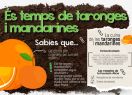 Portada infografia És temps de taronges i mandarines