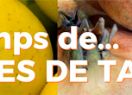 Cartell del webinar 