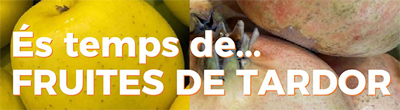 Cartell del webinar 