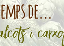 Cartell del webinar 