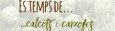 Cartell del webinar 