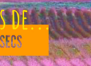 Cartell del webinar 