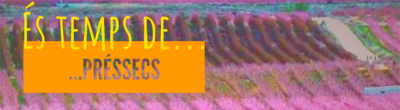 Cartell del webinar 
