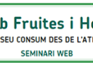 Cartell del webinar 