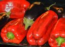 pebrots i albergínies al forn