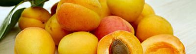 Albercocs