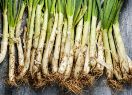 Bunyols de calçots