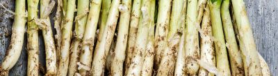 Bunyols de calçots