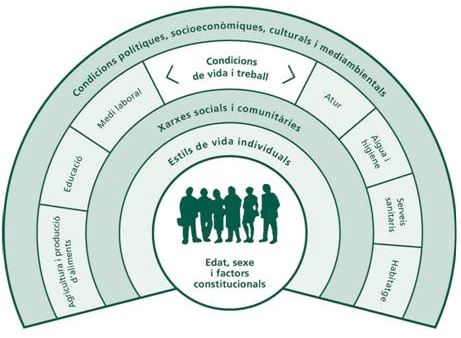 Figura 1: Model de determinants de la salut de Dahlgren i Whitehead, 1991. Modificat per l’ASPB