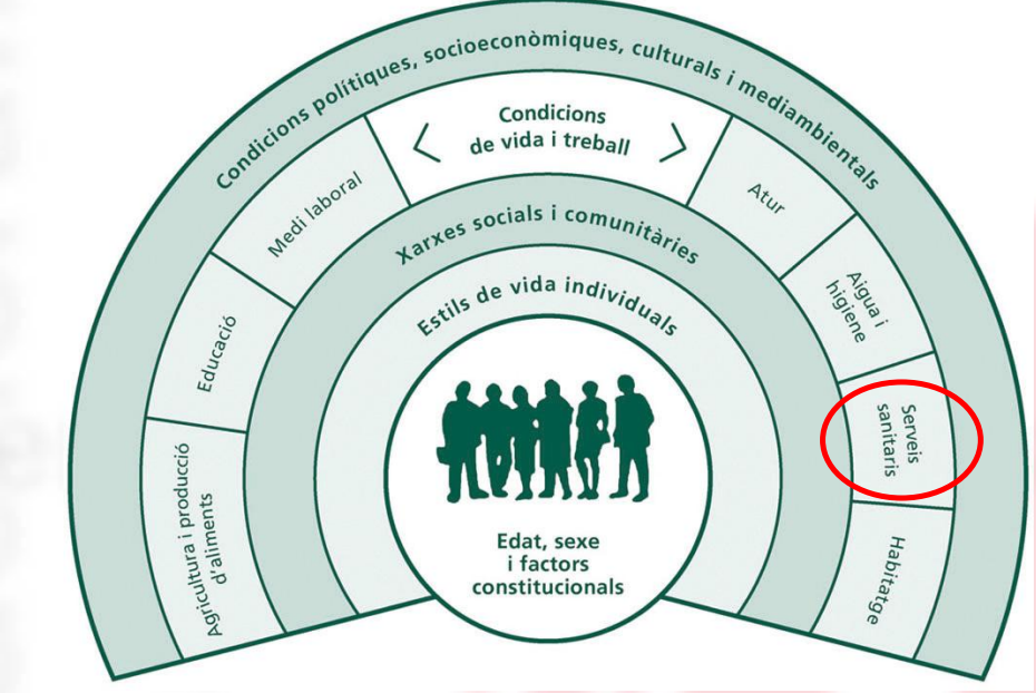 pdf-salut-comunitaria