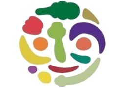 vida-saludable