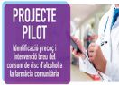 Programa pilot