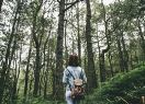 persona caminant pel bosc