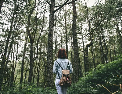 persona caminant pel bosc