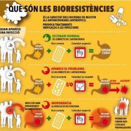 Què és la bioresistència als antibiòtics?