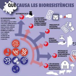 Què causa la bioresistència?
