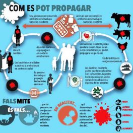 Com es pot propagar?
