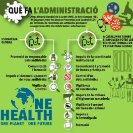 Què fa l'administració?