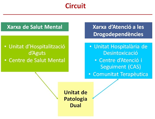 Circuit
Xarxa de Salut Mental (Unitat d'Hospitalització d'Aguts, Centre de Salut Mental )
Xarxa d'Atenció a les Drogodependències(Unitat Hospitalària de Desintoxicació,Centre d'Atenció i Seguiment (CAS), Comunitat Terapèutica)
Unitat de Patologia Dual