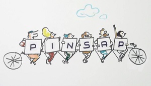 Balanç PINSAP